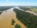 rio doce p-1