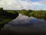 Rio Itaúnas